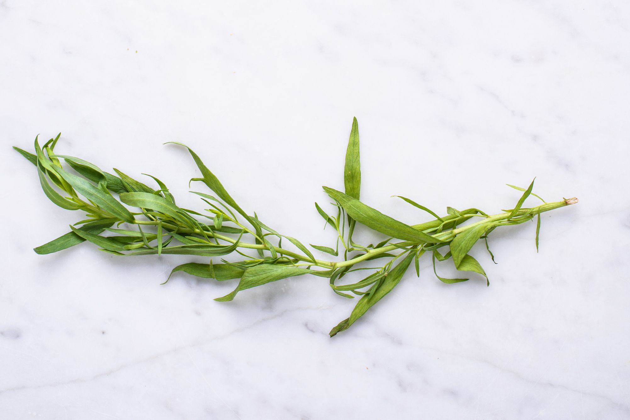 Datos nutricionales y beneficios para la salud del estragón Vuelta a